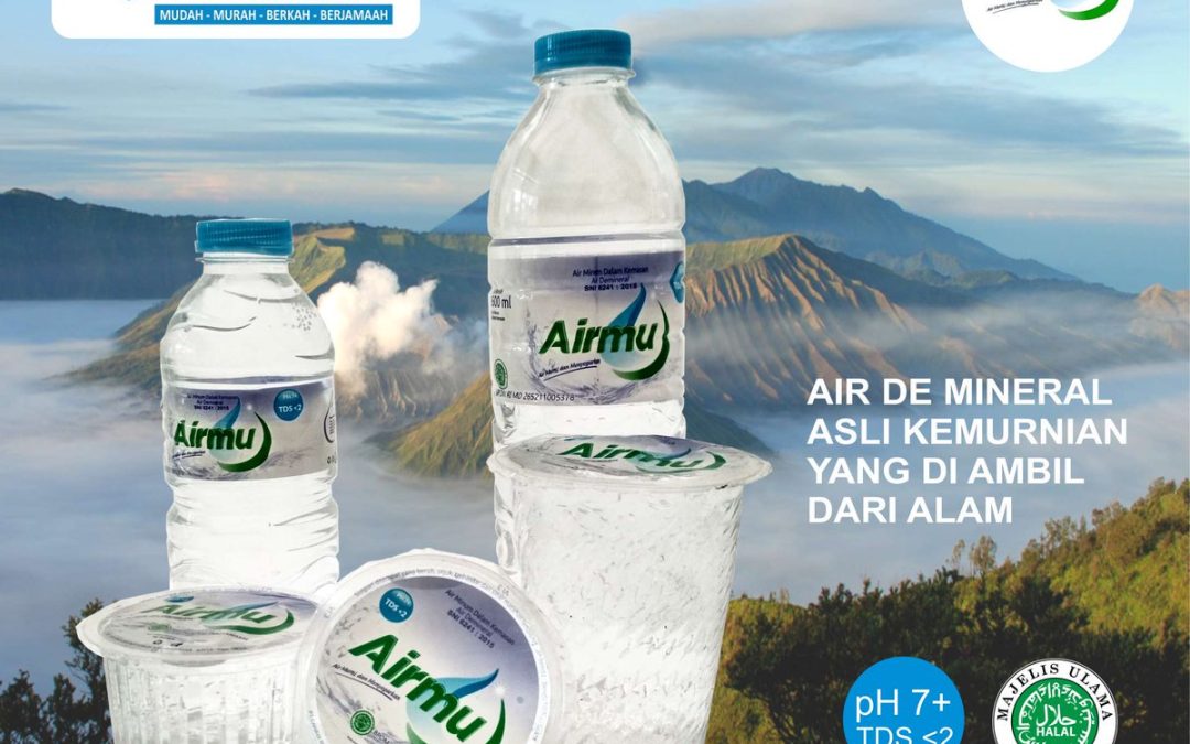 Pelatihan Upload Berita dan Gambar SDII Nurmus