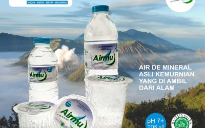 Pelatihan Upload Berita dan Gambar SDII Nurmus